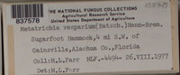 Image Associated With the Occurence